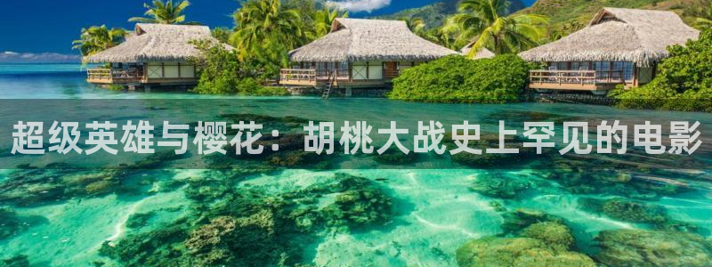 星空电影在线观看免费