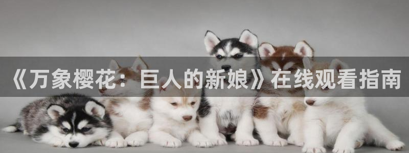 星空影视视频大全在线观看