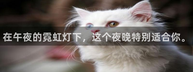 星空电影院免费观看