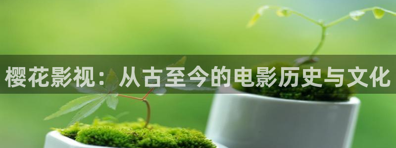 电影星空里的拼图