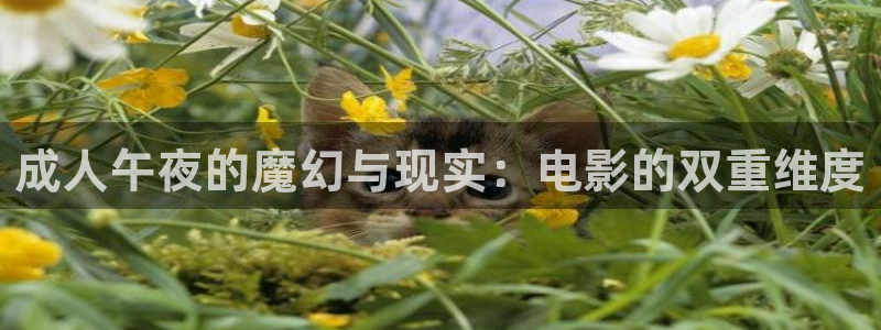 星辰影院电视剧免费观看完整版高清在线