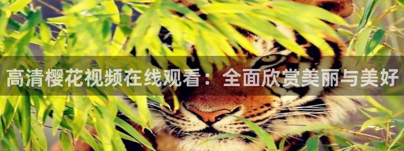 星辰影院电视剧免费播放在线观看影
