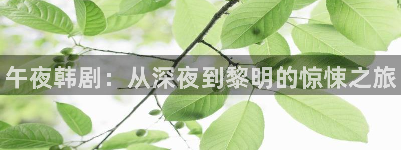 斛珠夫人电视剧星辰影院
