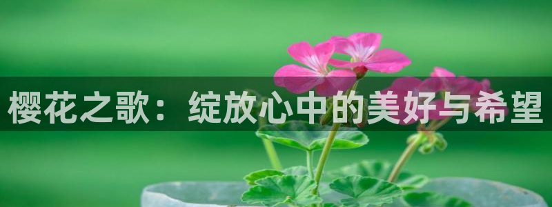 星空在线观看电影