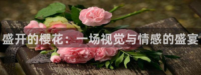 星空电影在线看免费