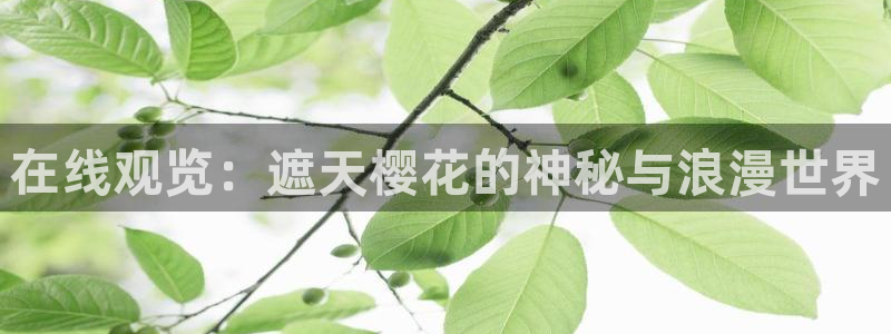 星辰影院播放电影大全免费