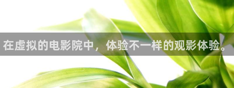 星空影业有限公司