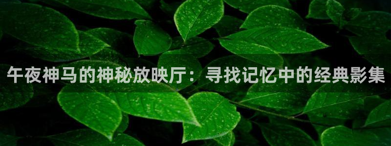 星空影视在线播放