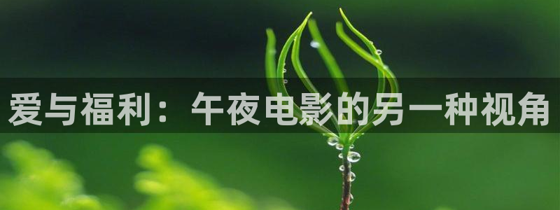 星辰影院免费观看电视剧电影2024年