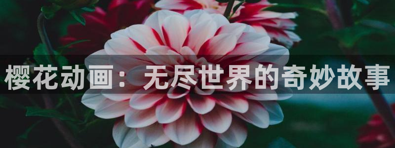 仙逆星辰影院