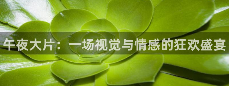 星空影视在线观看高清免费