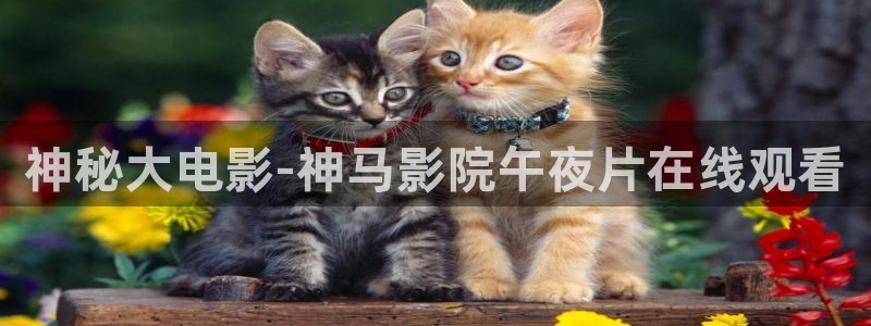 星空电影连续剧免费