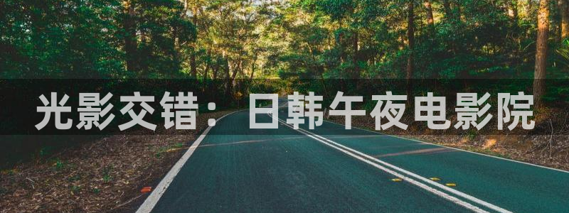 星空影视视频大全在线观看